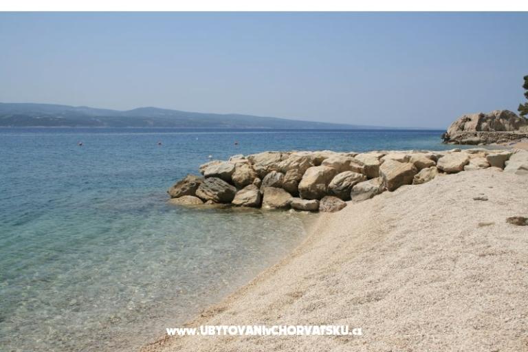 Ljetni san – foto 14