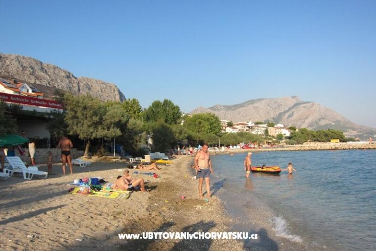 Apartamenty Mirna – foto 15