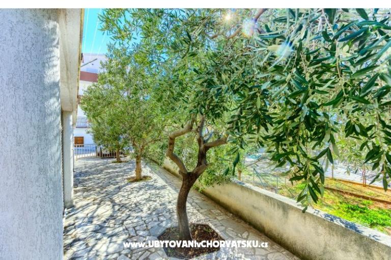 Omiš Dream Dom – foto 11