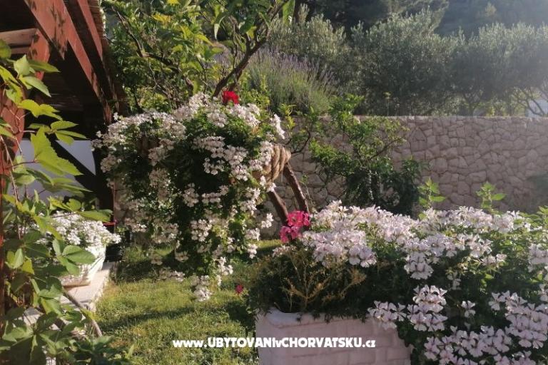 Villa Sunce – foto 18