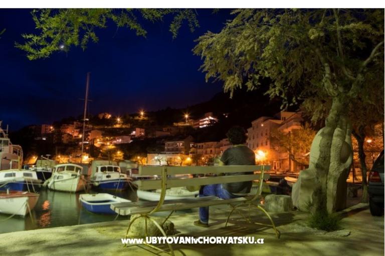 Villa Venera – foto 4