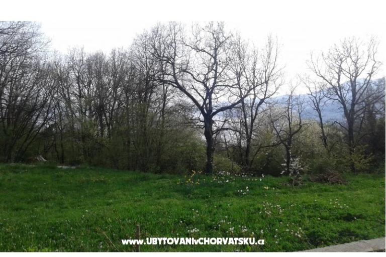 Apartament AS ROYAL – foto 4