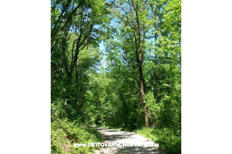 Apartament Filipović Kastav – foto 17