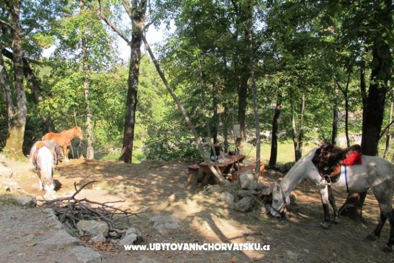 Apartament Filipović Kastav – foto 18