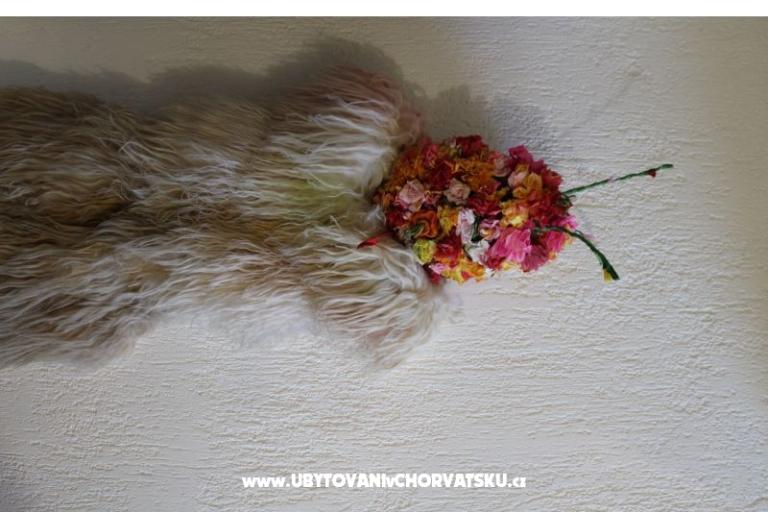 Apartament Kruna Rukavac – foto 15