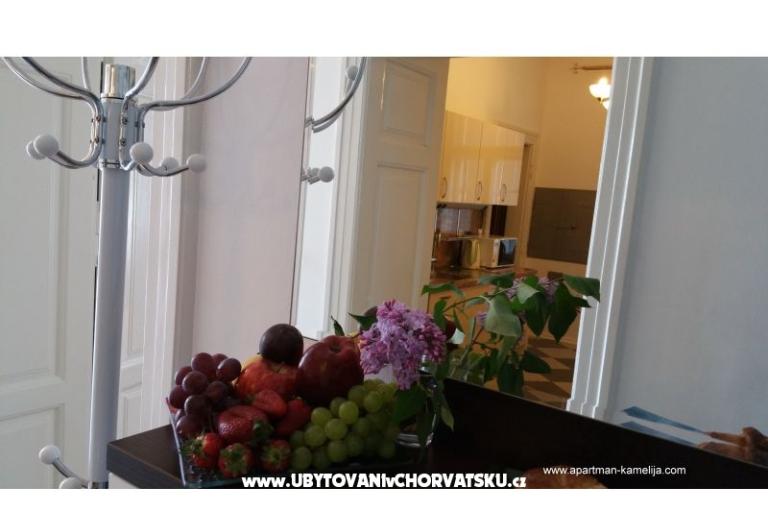 Apartament Kamelija – foto 9