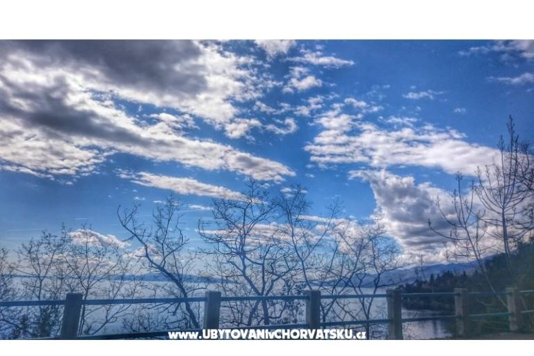 Garden of Pleasure – foto 16