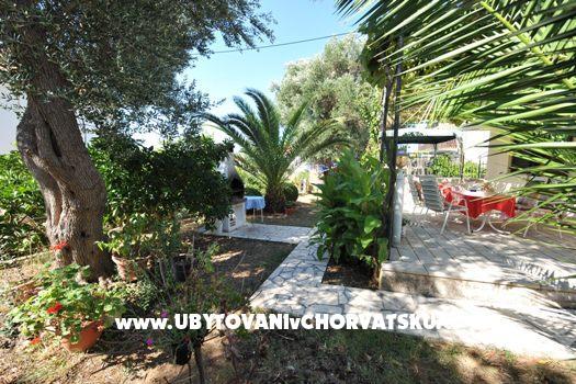 Apartament Djapo – foto 6