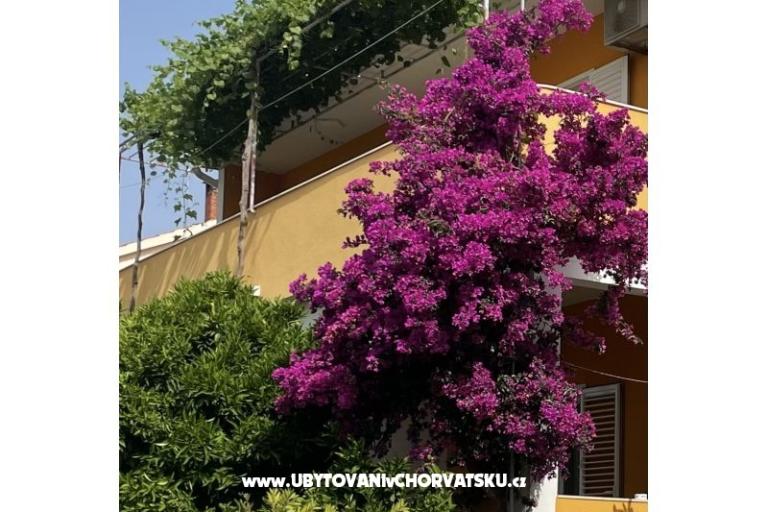 Apartamenty  Ante – foto 10