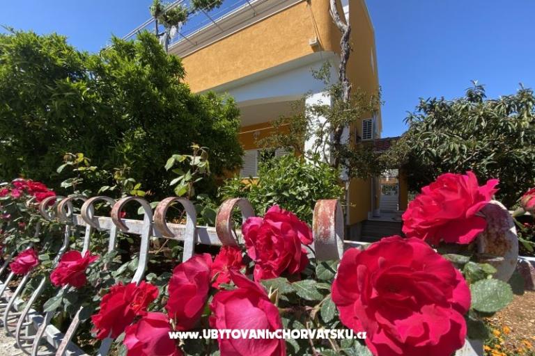 Apartamenty  Ante – foto 12