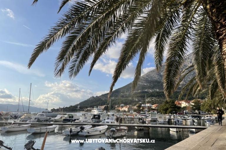 Apartamenty  Ante – foto 22