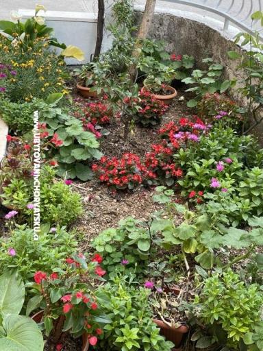 Apartamenty  Ante – foto 26