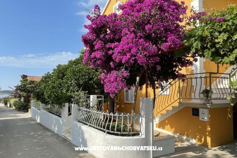 Apartamenty  Ante – foto 8