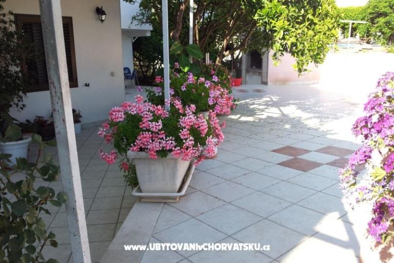 Apartamenty Bilic – foto 12