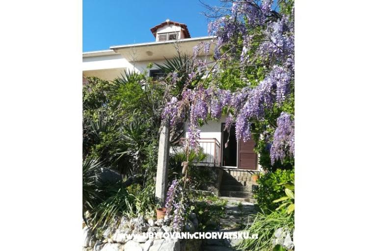 Apartamenty Mali Raj – foto 17