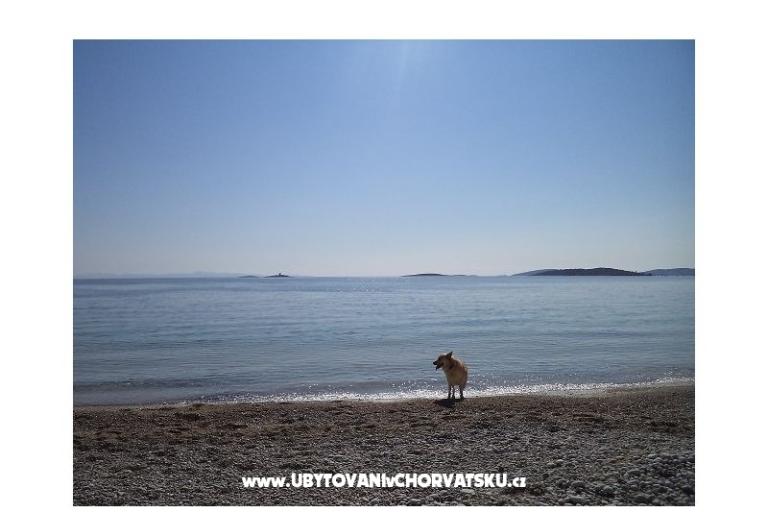 Apartamenty Mali Raj – foto 6