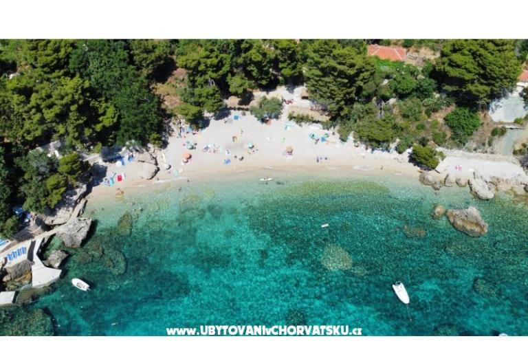 Apartamenty Ponta – foto 6