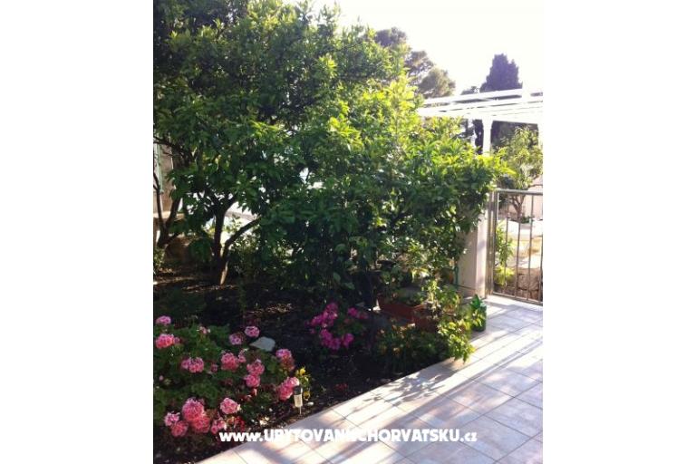 Apartamenty surf in Viganj – foto 15