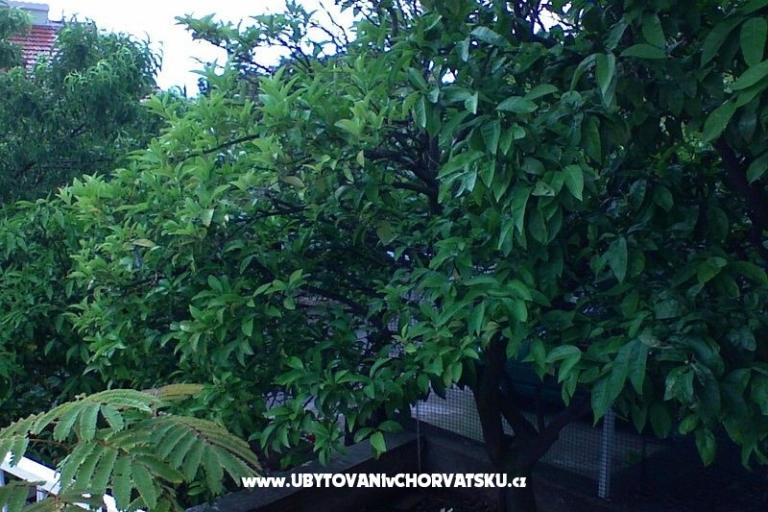 Apartamenty Zorka – foto 13