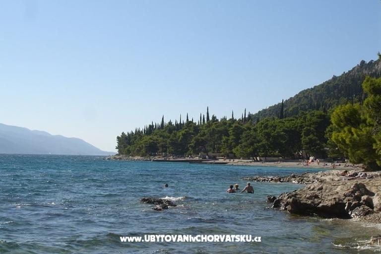 Apartamenty Zorka – foto 14