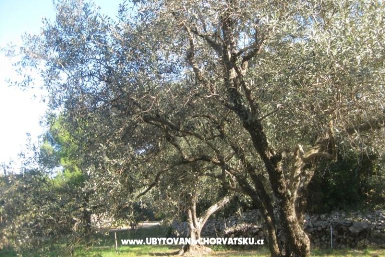 Apartamenty Mratović – foto 14