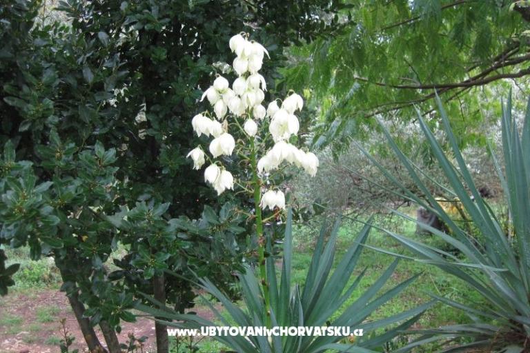 Apartamenty Mratović – foto 17