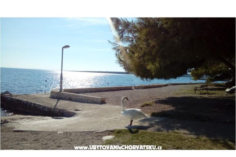 Apartament s pogledom na more – foto 3