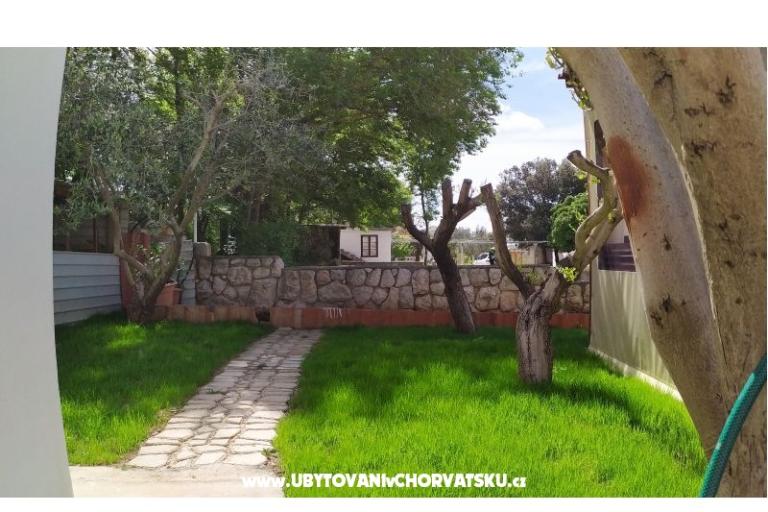Apartamenty Andreja – foto 12