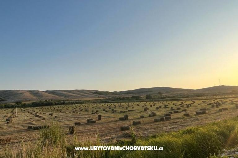 Apartamenty Anica – foto 42
