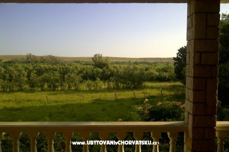 Apartamenty Ćurić Povljana – foto 3