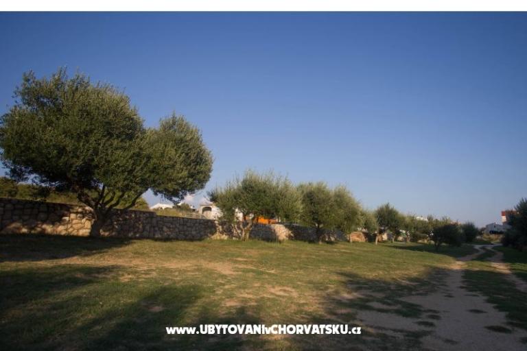 Apartamenty Dobre – foto 13