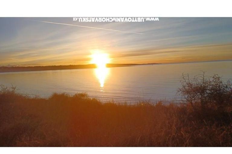 Apartamenty Dobre – foto 14
