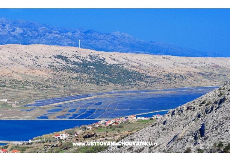 Apartamenty Filip – foto 8