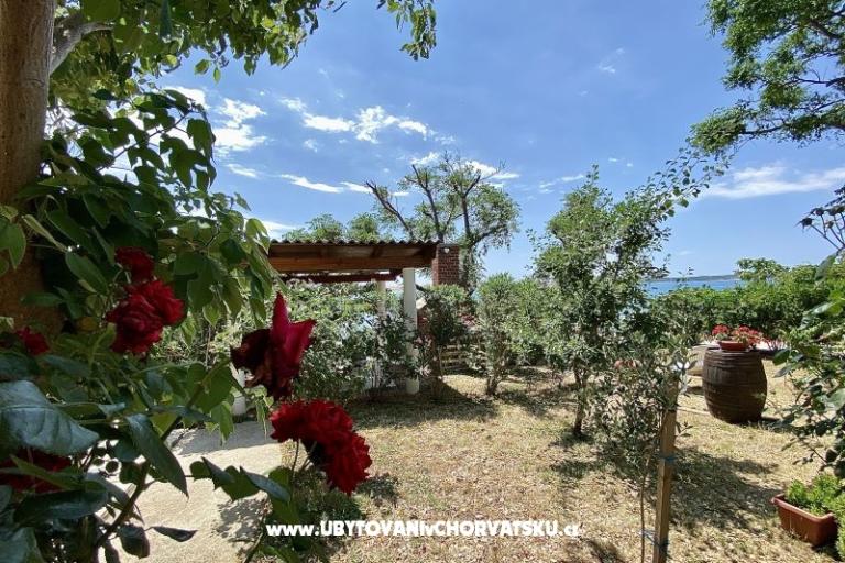 Apartamenty FRANE – foto 24