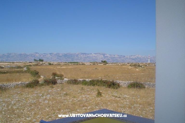 Apartamenty IVA(iza kampa) – foto 9