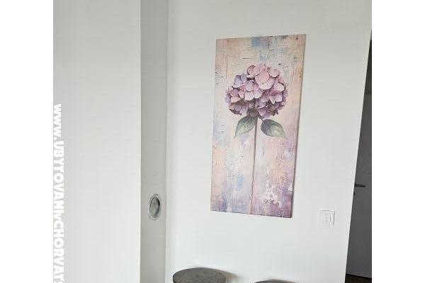 Apartamenty Jonke – foto 14