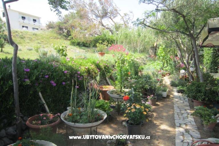 Apartamenty Mediteran Pag – foto 10