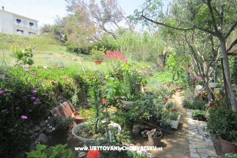 Apartamenty Mediteran Pag – foto 11