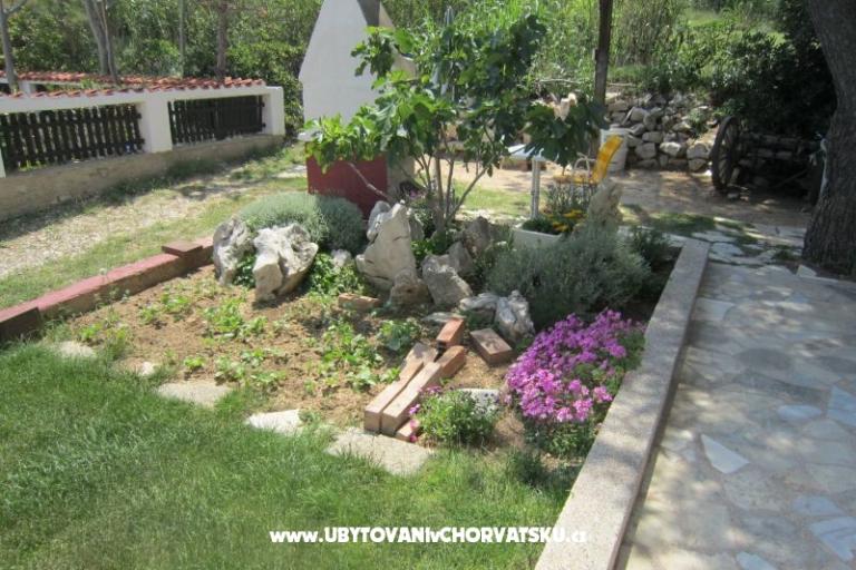 Apartamenty Mediteran Pag – foto 7