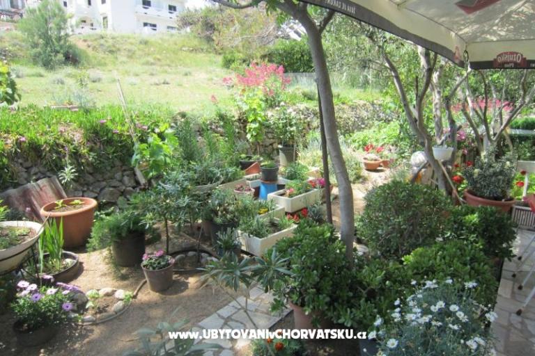 Apartamenty Mediteran Pag – foto 8