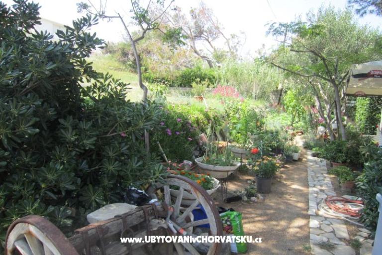Apartamenty Mediteran Pag – foto 9