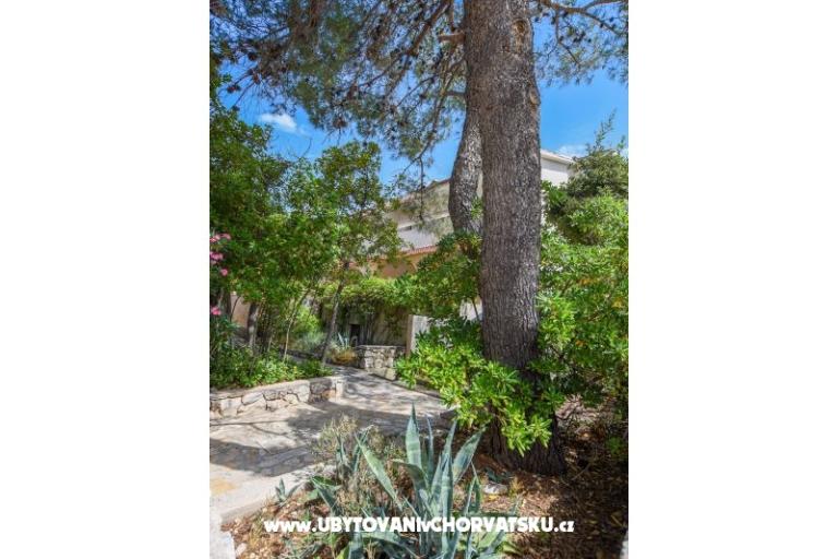 Apartamenty Oleandra – foto 12
