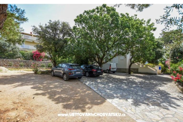 Apartamenty Oleandra – foto 15