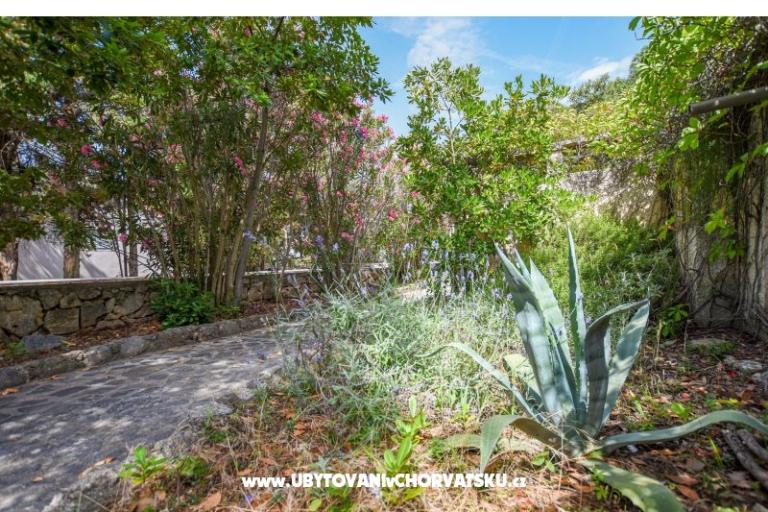 Apartamenty Oleandra – foto 6