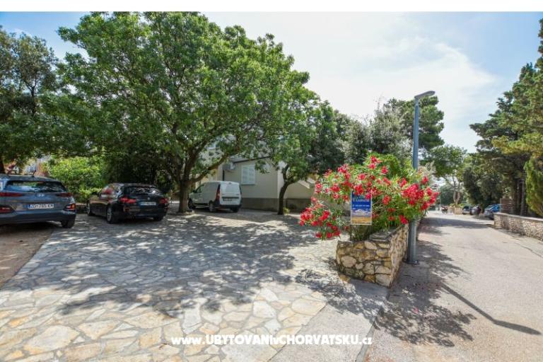 Apartamenty Oleandra – foto 7