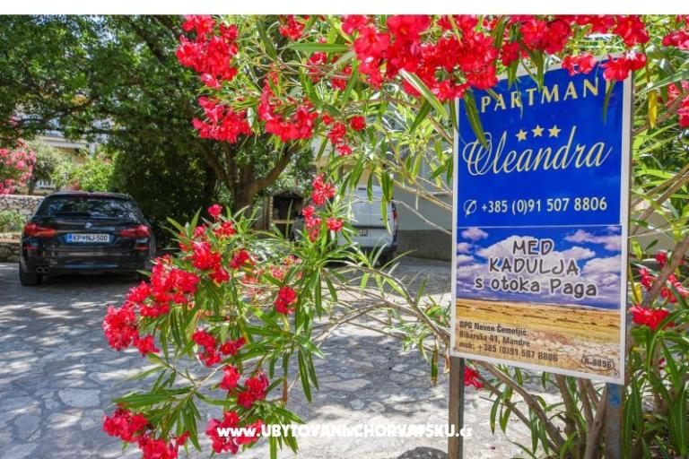 Apartamenty Oleandra – foto 9