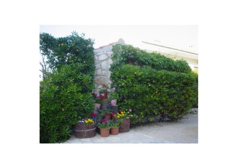 Apartamenty Pag – foto 10