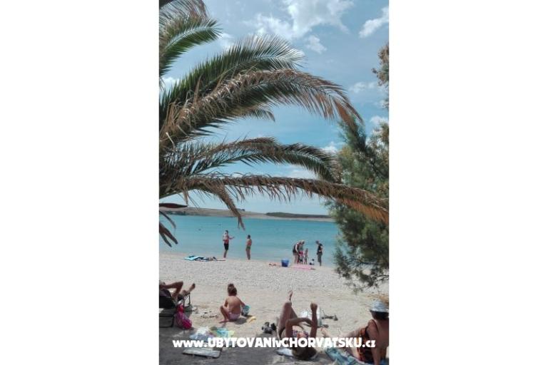 Apartamenty Petra – foto 4