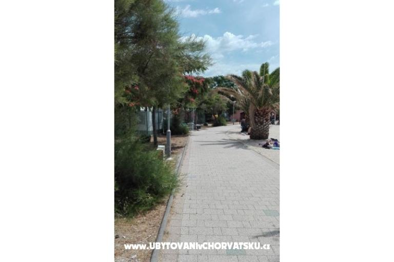 Apartamenty Petra – foto 5