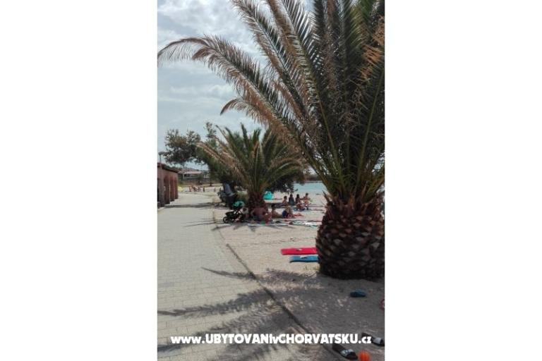 Apartamenty Petra – foto 6